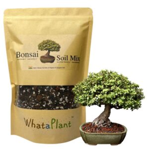 bonsai-soil-mix-01